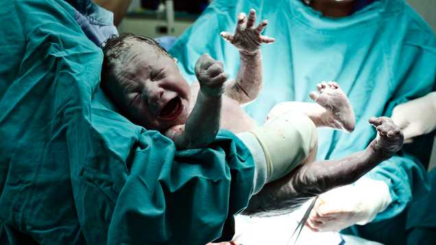 Illustration for article titled Fuck Off, Babies: 11 Babies We Don’t Give A Shit About